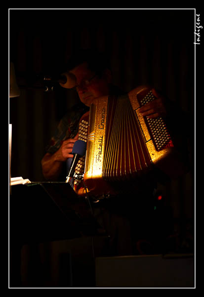 L'accordoniste