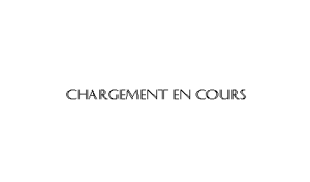 logo indigene.net